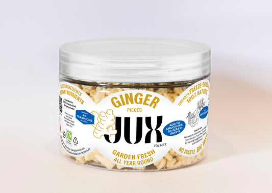 NEW Ginger Stackable Pot