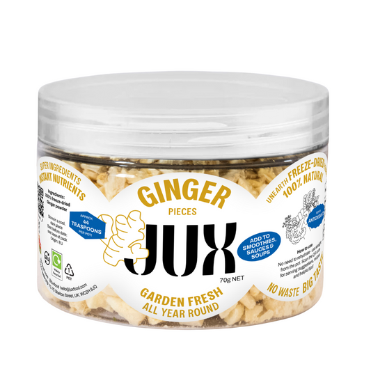 NEW Ginger Stackable Pot