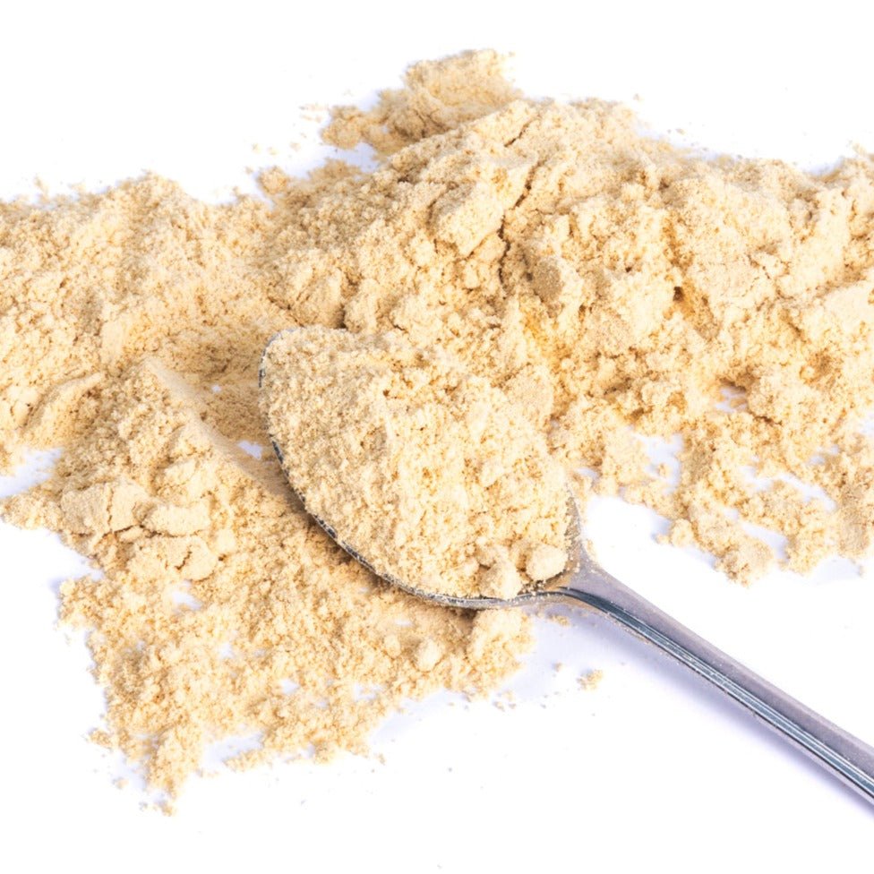 Jux food freeze dried Ginger powder on a teaspoon
